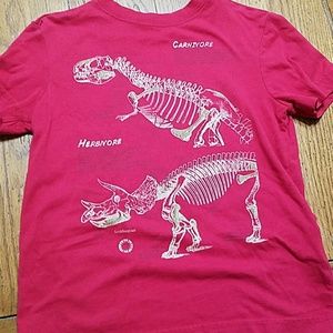 Crazy 8 dinosaur shirt